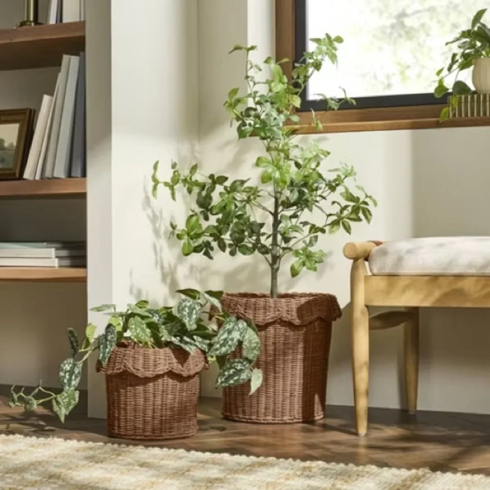 NWT | Scalloped Rattan Planter Basket - Hearth & Hand™ with Magnolia